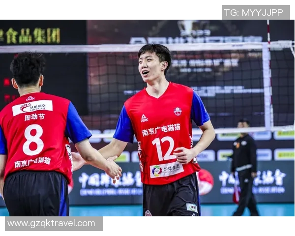 南京排球队进攻表现分析与得失总结探讨