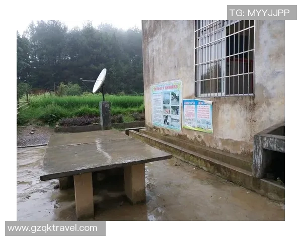 黄静的乒乓球人生:从梦想起航到世界舞台的深度对话与反思 黄静的乒乓球人生:从梦想起航到世界舞台的深度对话与反思