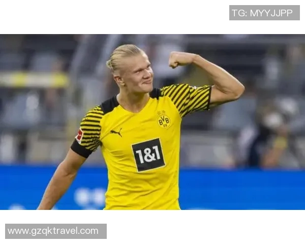 哈兰德：从天才少年到足坛巨星的传奇之路与未来展望