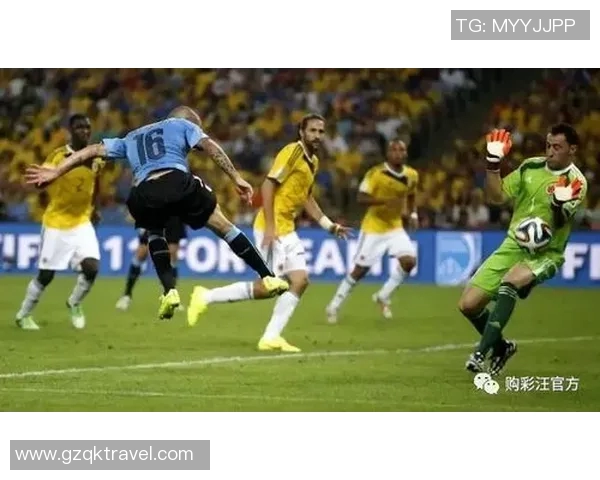 波兰与塞内加尔实时对决精彩回顾与赛况分析