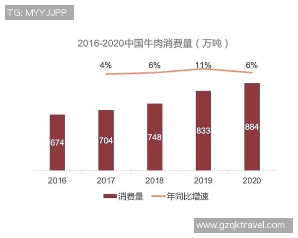 西安极限运动队节奏表现的数据分析与趋势探讨